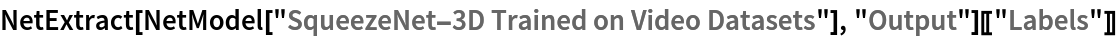 NetExtract[NetModel["SqueezeNet-3D Trained on Video Datasets"], "Output"][["Labels"]]