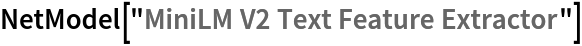 NetModel["MiniLM V2 Text Feature Extractor"]