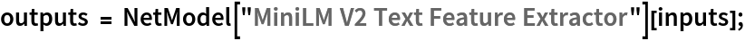 outputs = NetModel["MiniLM V2 Text Feature Extractor"][inputs];