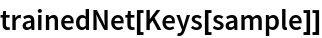 trainedNet[Keys[sample]]