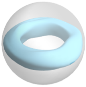 Sample 3D Model: Deflated Tube | Wolfram Data Repository