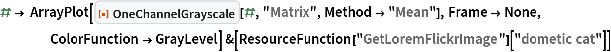 # -> ArrayPlot[
    ResourceFunction["OneChannelGrayscale"][#, "Matrix", Method -> "Mean"], Frame -> None, ColorFunction -> GrayLevel] &[
 ResourceFunction["GetLoremFlickrImage"]["dometic cat"]]