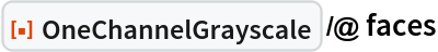 ResourceFunction["OneChannelGrayscale"] /@ faces