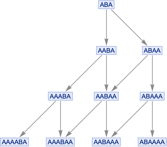MultiwaySystem | Wolfram Function Repository