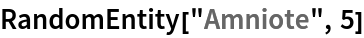 RandomEntity["Amniote", 5]