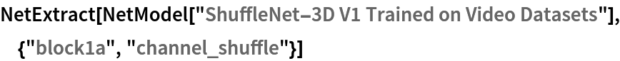 NetExtract[
 NetModel["ShuffleNet-3D V1 Trained on Video Datasets"], {"block1a", "channel_shuffle"}]