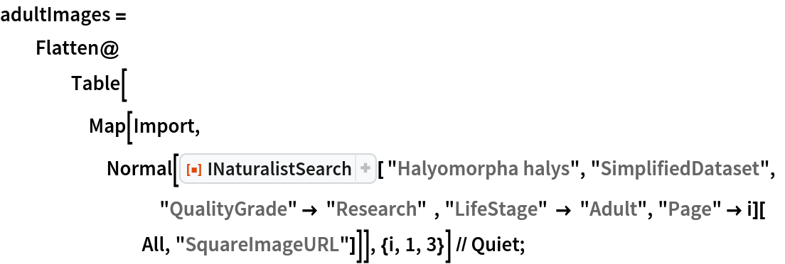 adultImages = Flatten@Table[
     Map[Import, Normal[ResourceFunction["INaturalistSearch"][ "Halyomorpha halys", "SimplifiedDataset", "QualityGrade" -> "Research"  , "LifeStage" -> "Adult", "Page" -> i][All, "SquareImageURL"]]], {i, 1, 3}] // Quiet;