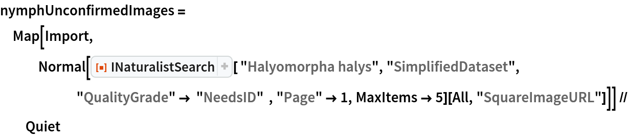nymphUnconfirmedImages = Map[Import, Normal[ResourceFunction["INaturalistSearch"][ "Halyomorpha halys", "SimplifiedDataset", "QualityGrade" -> "NeedsID"  , "Page" -> 1,
       MaxItems -> 5][All, "SquareImageURL"]]] // Quiet