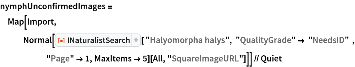 nymphUnconfirmedImages = Map[Import, Normal[ResourceFunction["INaturalistSearch"][ "Halyomorpha halys", "QualityGrade" -> "NeedsID"  , "Page" -> 1, MaxItems -> 5][All, "SquareImageURL"]]] // Quiet