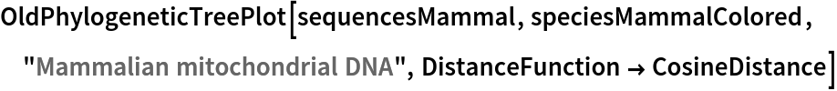 OldPhylogeneticTreePlot[sequencesMammal, speciesMammalColored, "Mammalian mitochondrial DNA", DistanceFunction -> CosineDistance]