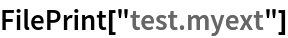 FilePrint["test.myext"]