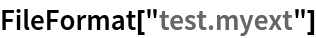 FileFormat["test.myext"]