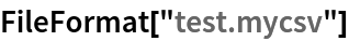 FileFormat["test.mycsv"]