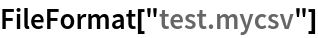 FileFormat["test.mycsv"]