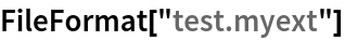 FileFormat["test.myext"]