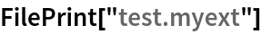 FilePrint["test.myext"]