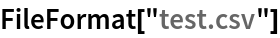 FileFormat["test.csv"]