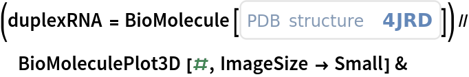 (duplexRNA = BioMolecule[ExternalIdentifier["PDBStructureID", "4JRD"]]) // BioMoleculePlot3D[#, ImageSize -> Small] &
