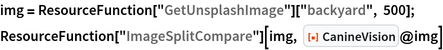 CanineVision | Wolfram Function Repository