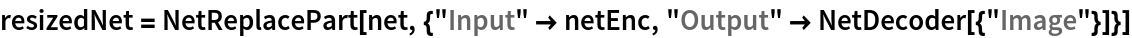 resizedNet = NetReplacePart[
  net, {"Input" -> netEnc, "Output" -> NetDecoder[{"Image"}]}]