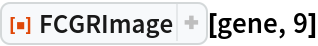 ResourceFunction["FCGRImage"][gene, 9]