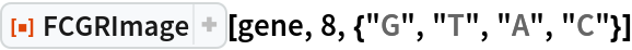 ResourceFunction["FCGRImage"][gene, 8, {"G", "T", "A", "C"}]