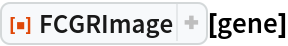 ResourceFunction["FCGRImage"][gene]