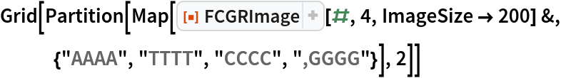 Grid[Partition[
  Map[ResourceFunction["FCGRImage"][#, 4, ImageSize -> 200] &, {"AAAA", "TTTT", "CCCC", ",GGGG"}], 2]]