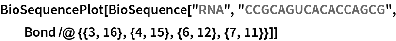 BioSequencePlot[
 BioSequence["RNA", "CCGCAGUCACACCAGCG", Bond /@ {{3, 16}, {4, 15}, {6, 12}, {7, 11}}]]