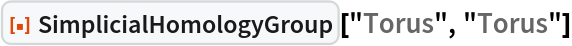 ResourceFunction["SimplicialHomologyGroup"]["Torus", "Torus"]