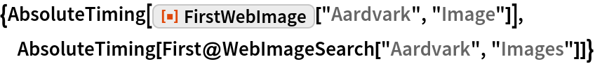 FirstWebImage | Wolfram Function Repository