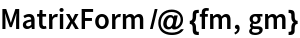 MatrixForm /@ {fm, gm}