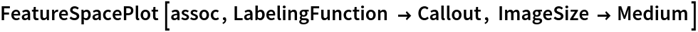 FeatureSpacePlot[assoc, LabelingFunction -> Callout, ImageSize -> Medium]