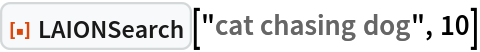 ResourceFunction[
 "LAIONSearch", ResourceSystemBase -> "https://www.wolframcloud.com/obj/resourcesystem/api/1.0"]["cat chasing dog", 10]