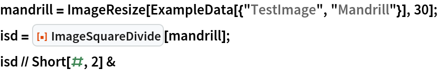 mandrill = ImageResize[ExampleData[{"TestImage", "Mandrill"}], 30];
isd = ResourceFunction["ImageSquareDivide"][mandrill];
isd // Short[#, 2] &