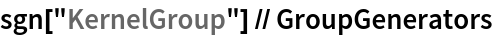 sgn["KernelGroup"] // GroupGenerators