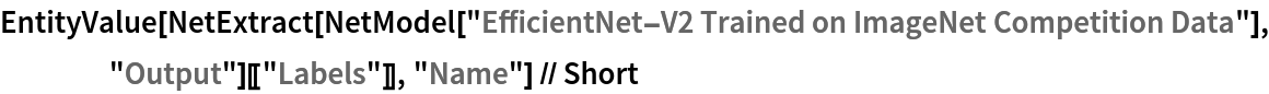 EntityValue[
  NetExtract[
    NetModel["EfficientNet-V2 Trained on ImageNet Competition Data"], "Output"][["Labels"]], "Name"] // Short