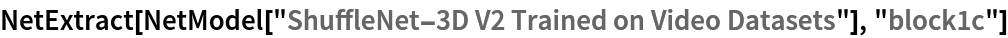 NetExtract[
 NetModel["ShuffleNet-3D V2 Trained on Video Datasets"], "block1c"]