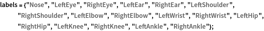 labels = {"Nose", "LeftEye", "RightEye", "LeftEar", "RightEar", "LeftShoulder", "RightShoulder", "LeftElbow", "RightElbow", "LeftWrist", "RightWrist", "LeftHip", "RightHip", "LeftKnee", "RightKnee", "LeftAnkle", "RightAnkle"};