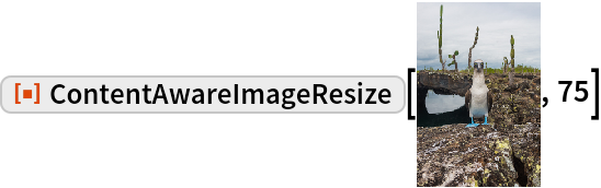 ContentAwareImageResize | Wolfram Function Repository