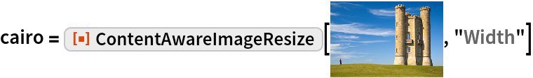 ContentAwareImageResize | Wolfram Function Repository