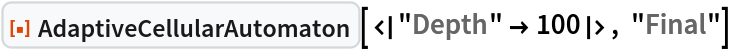 ResourceFunction["AdaptiveCellularAutomaton", ResourceVersion->"1.0.0"][<|"Depth" -> 100|>, "Final"]