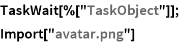 TaskWait[%["TaskObject"]];
Import["avatar.png"]