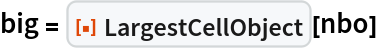 big = ResourceFunction["LargestCellObject"][nbo]
