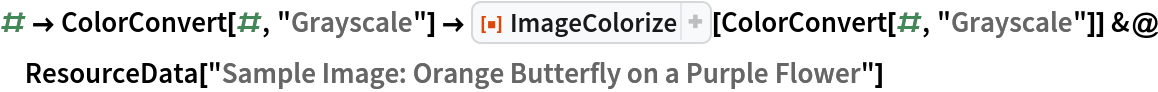 # -> ColorConvert[#, "Grayscale"] -> ResourceFunction["ImageColorize"][ColorConvert[#, "Grayscale"]] &@
 ResourceData["Sample Image: Orange Butterfly on a Purple Flower"]