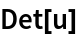 Det[u]
