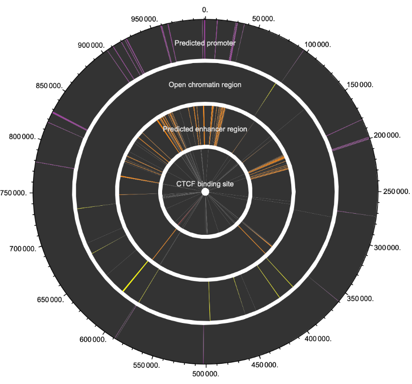 EnsemblGenomeRegion | Wolfram Function Repository