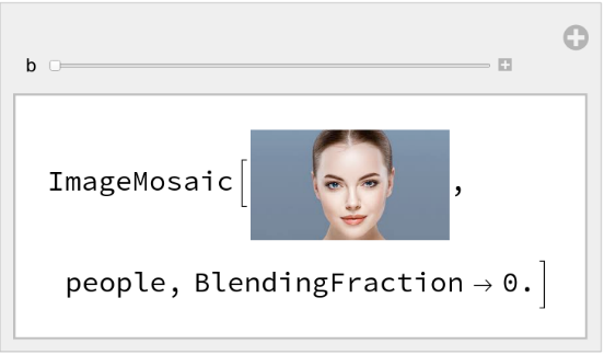 ImageMosaic | Wolfram Function Repository