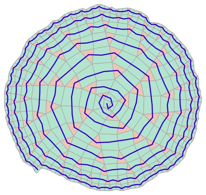 RecursiveFunctionCallGraph | Wolfram Function Repository