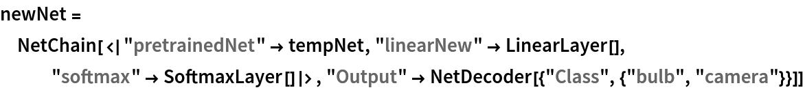 newNet = NetChain[<|"pretrainedNet" -> tempNet, "linearNew" -> LinearLayer[], "softmax" -> SoftmaxLayer[]|>, "Output" -> NetDecoder[{"Class", {"bulb", "camera"}}]]